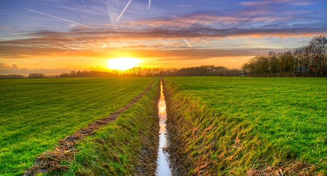 Parama melioracijos griovių „detoksui“