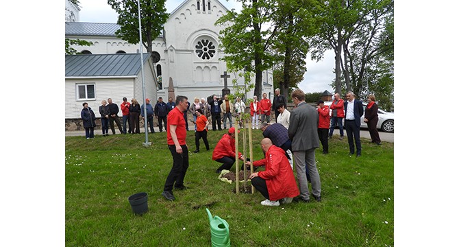 News image